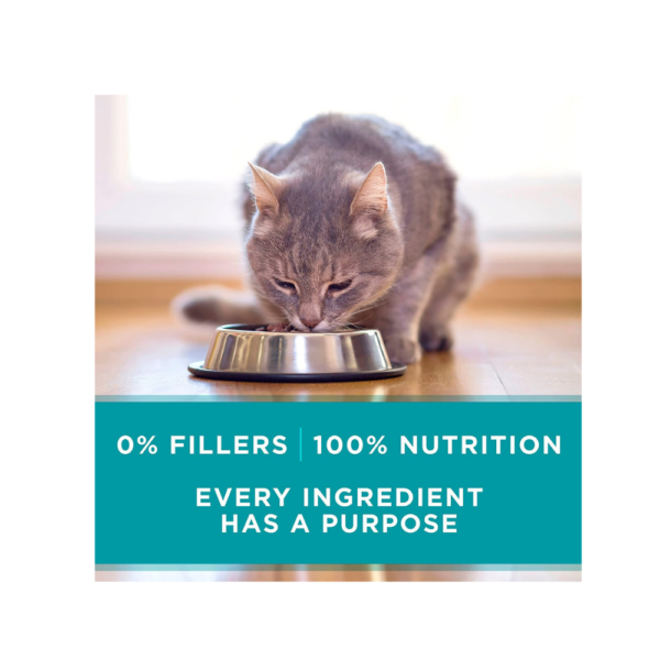 Purina ONE Natural, High Protein, Grain Free Pate Wet Cat Food, Beef Recipe - (24) 3 oz. Pull - Image 2
